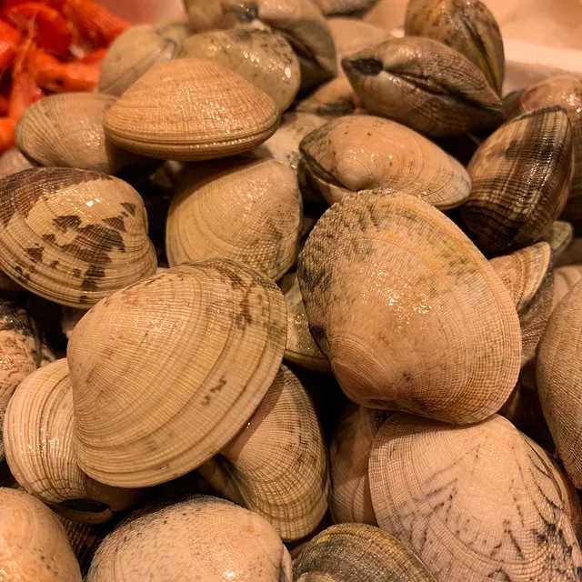 Pescadería Ángel García pescados y mariscos