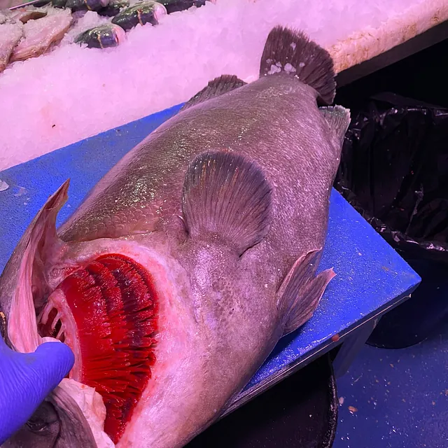 Pescadería Ángel García pescados y mariscos