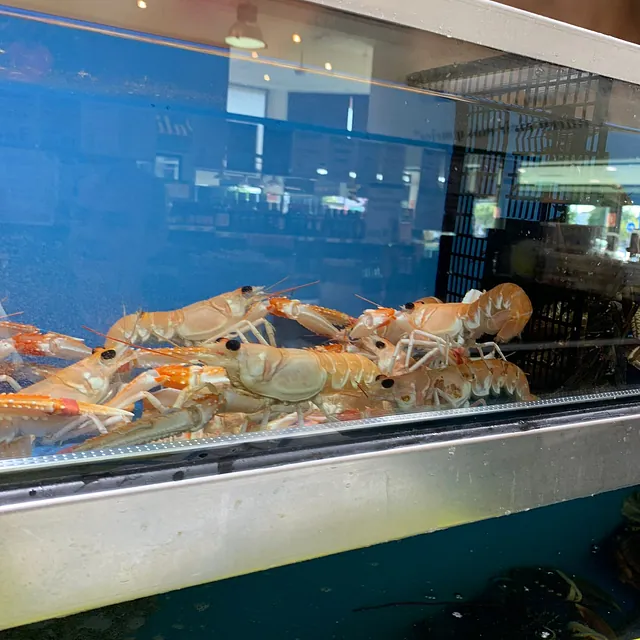 Pescadería Ángel García mariscos vivos