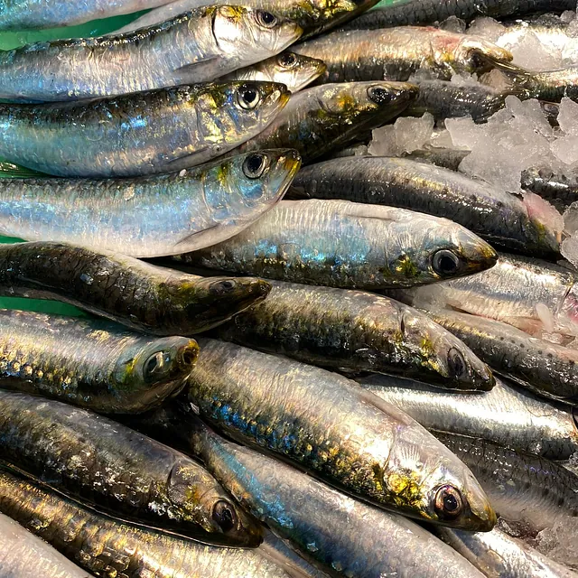 Pescadería Ángel García pescados y mariscos